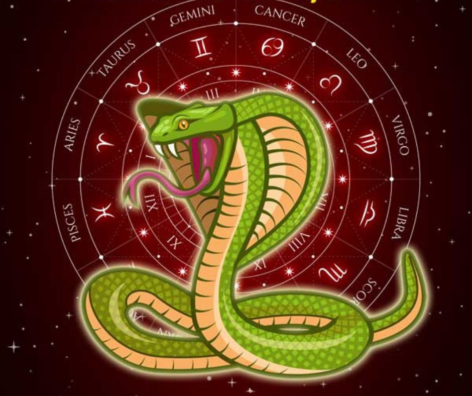 Kal sarp Dosh Puja